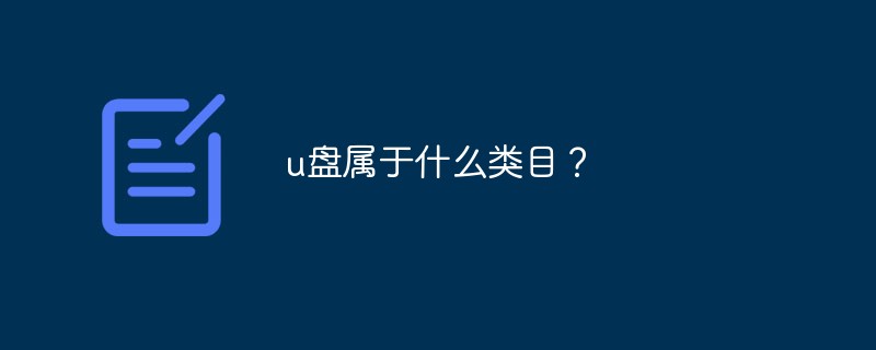 u盤屬于什么類目？