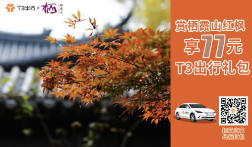 打T3出行到南京棲霞山 賞萬(wàn)山紅遍的楓葉美景