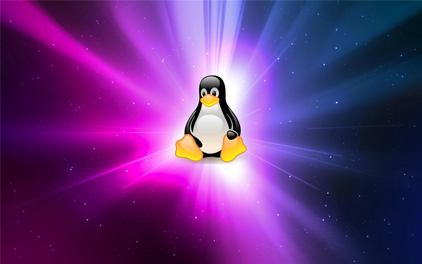 Ubuntu 發(fā)現(xiàn)內(nèi)核回歸系統(tǒng)崩潰漏洞,需盡快升級(jí)