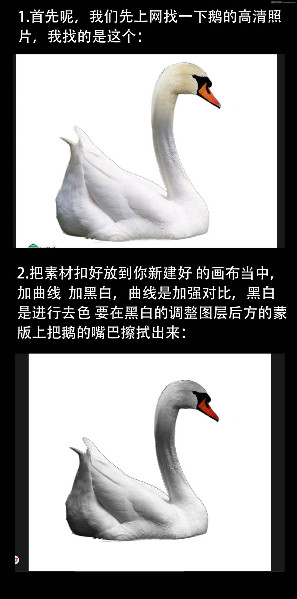 ps設(shè)計超酷的黑天鵝海報