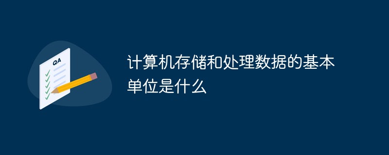計(jì)算機(jī)存儲(chǔ)和處理數(shù)據(jù)的基本單位是什么