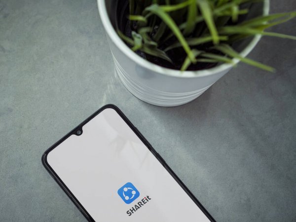 穿越周期的不確定性,茄子科技SHAREit Group按下出海增長(zhǎng)加速鍵