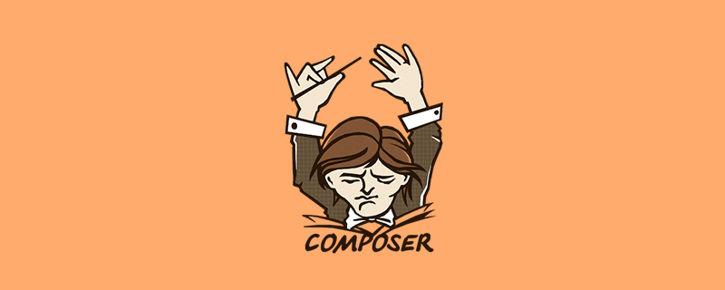 解析composer.json中所有屬性字段
