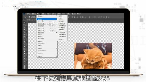 ps怎么調(diào)整圖片大小 ps圖片大小的調(diào)整方法