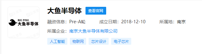 分拆于小米松果的大魚半導(dǎo)體，完成近億元 A 輪融資