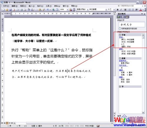 word字體格式 教你一眼就能辨認出Word2003文檔某處字體的格式