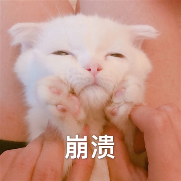 直擊用戶痛點(diǎn)！來畫這兩個(gè)新神器或?qū)⑻嵘最I(lǐng)80%工作效率