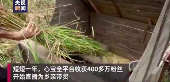 抖音電商里的90后女孩，幫助家鄉(xiāng)上千萬(wàn)山貨上頭條