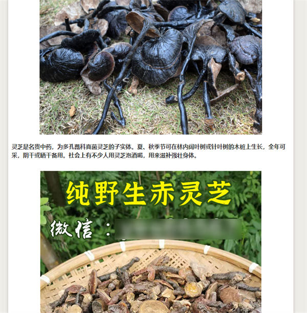 做網(wǎng)站，還是大有可為！