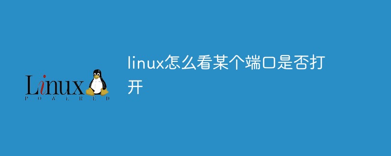 linux怎么看某個端口是否打開-站長資訊網(wǎng)