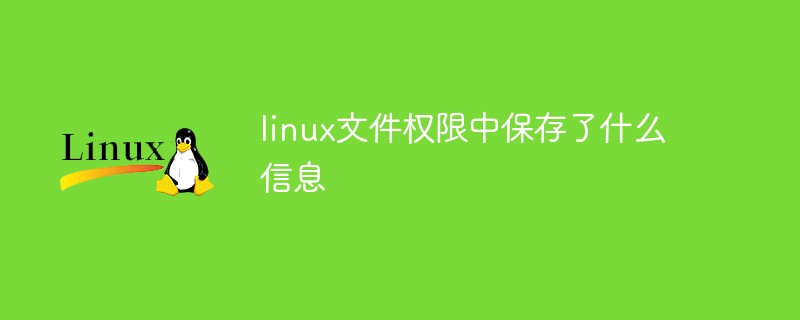 linux文件權限中保存了什么信息