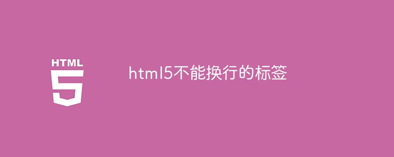 html5不能換行的標(biāo)簽