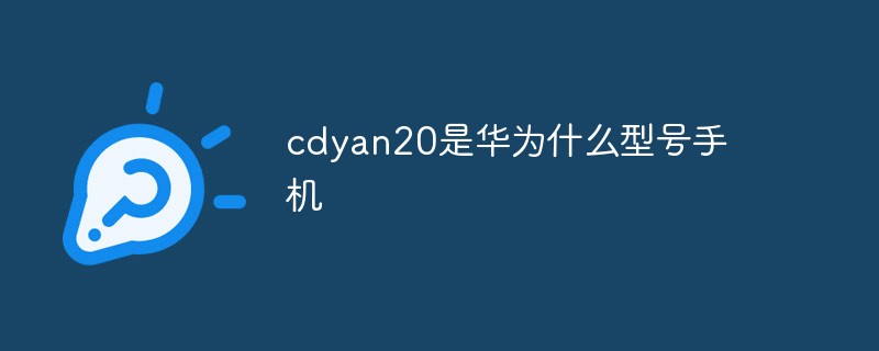 cdyan20是華為什么型號(hào)手機(jī)