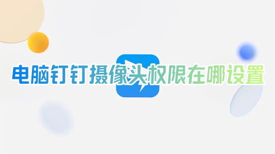 電腦釘釘攝像頭權限在哪設置 電腦釘釘攝像頭權限怎么打開
