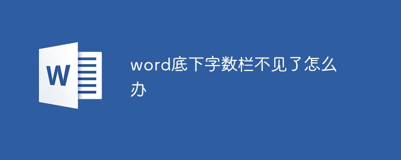 word底下字?jǐn)?shù)欄不見(jiàn)了怎么辦