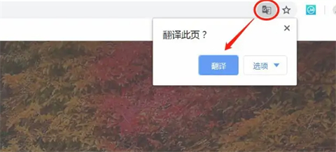 谷歌瀏覽器翻譯在哪 谷歌瀏覽器翻譯網(wǎng)頁功能在哪里設(shè)置