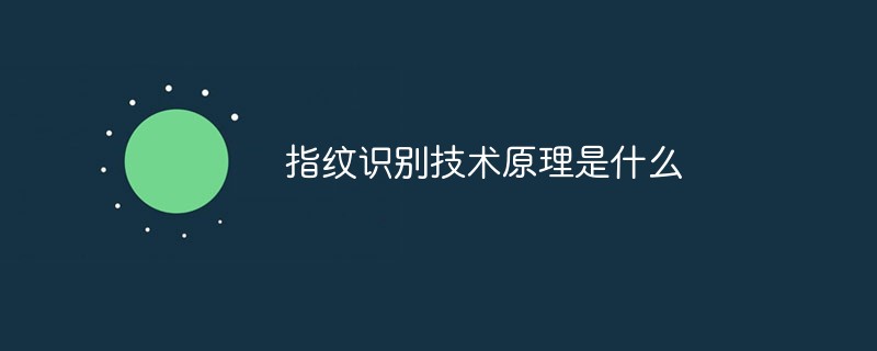 指紋識別技術(shù)原理是什么
