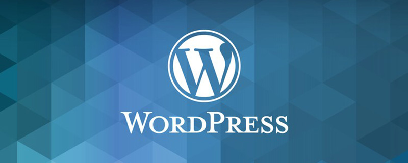 WordPress主題代碼怎么靜態(tài)化？教程分享