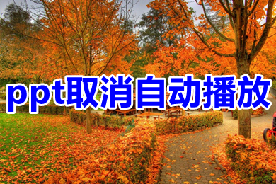 ppt取消自動(dòng)播放 ppt關(guān)閉自動(dòng)播放的方法