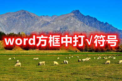 word方框中打&radic;符號(hào) word方框&radic;怎么打