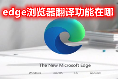 edge瀏覽器翻譯功能在哪 edge瀏覽器自動(dòng)翻譯怎么打開